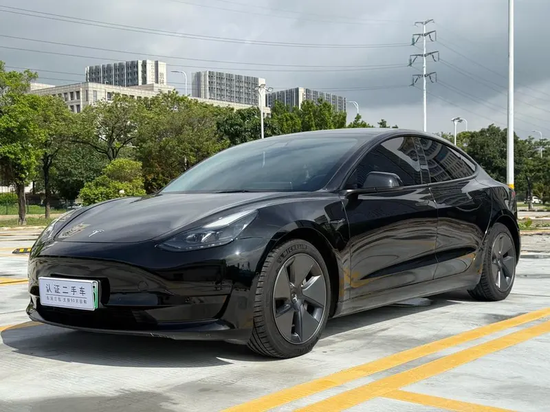 Tesla Model 3 Standard Range RWD Upgraded Edition 3D1, 2021 — фото 1