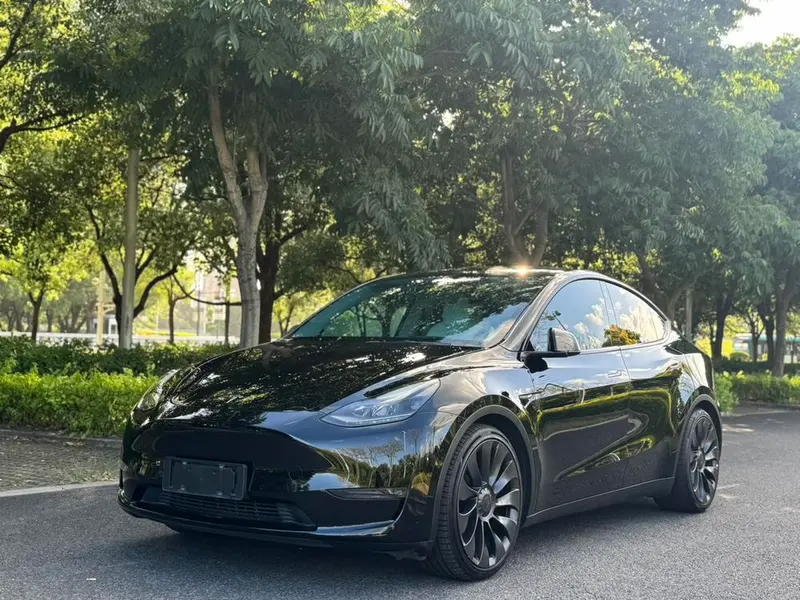 Tesla Model Y Performance High Performance AWD Edition, 2022 — фото 1