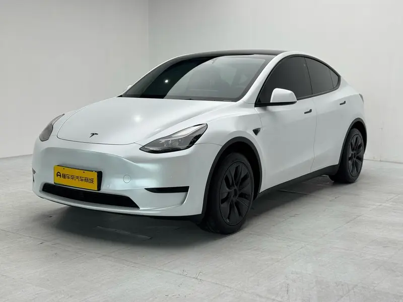 Tesla Model Y Edition, 2023 — фото 1