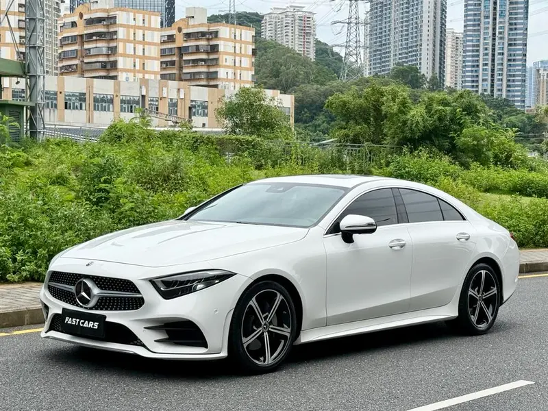 Mercedes-Benz CLS CLS 300 Luxury Version, 2020 — фото 1