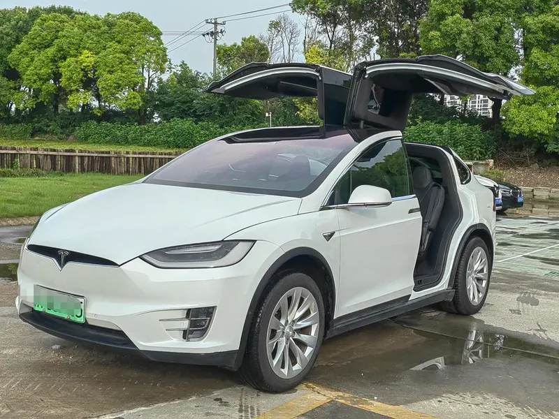 Tesla Model X, 2019
