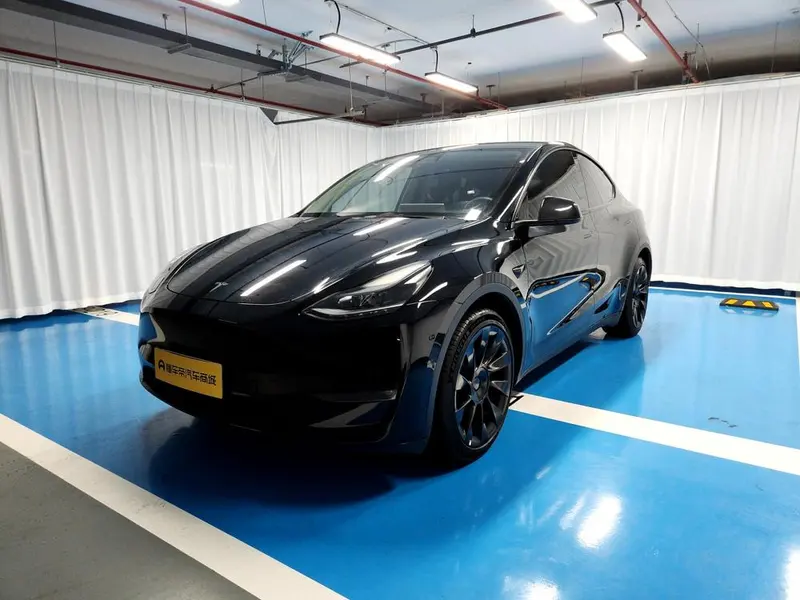 Tesla Model Y Standard Range Edition, 2021 — фото 1