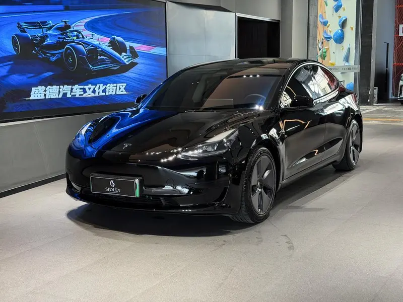 Tesla Model 3 Edition, 2022 — фото 1