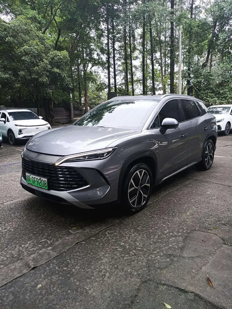 BYD Song L DM, 2024