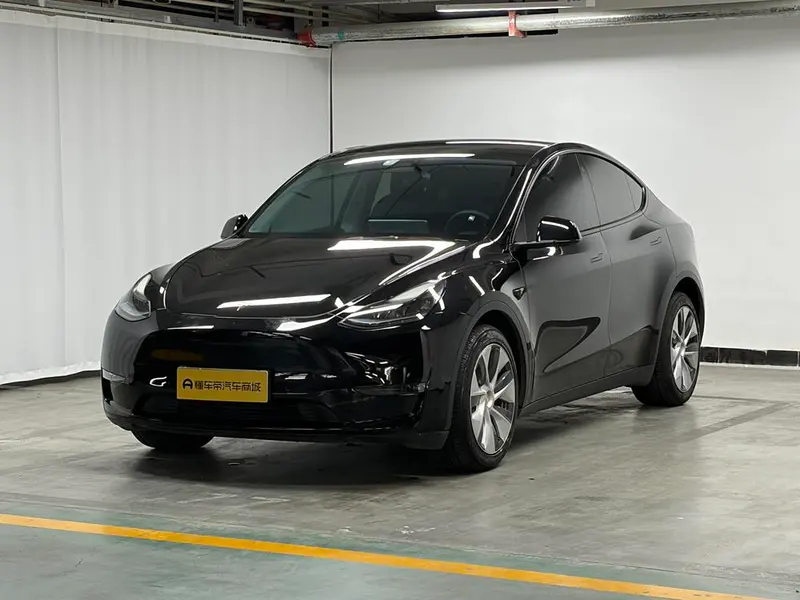 Tesla Model Y Long Range AWD Edition 3D3/3D7, 2021 — фото 1