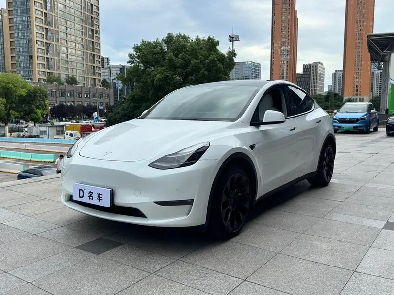 Tesla Model Y Long Range AWD Edition, 2021 — фото 1