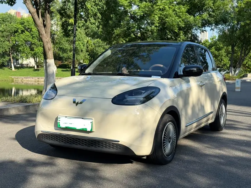 Wuling Bingo, 2024