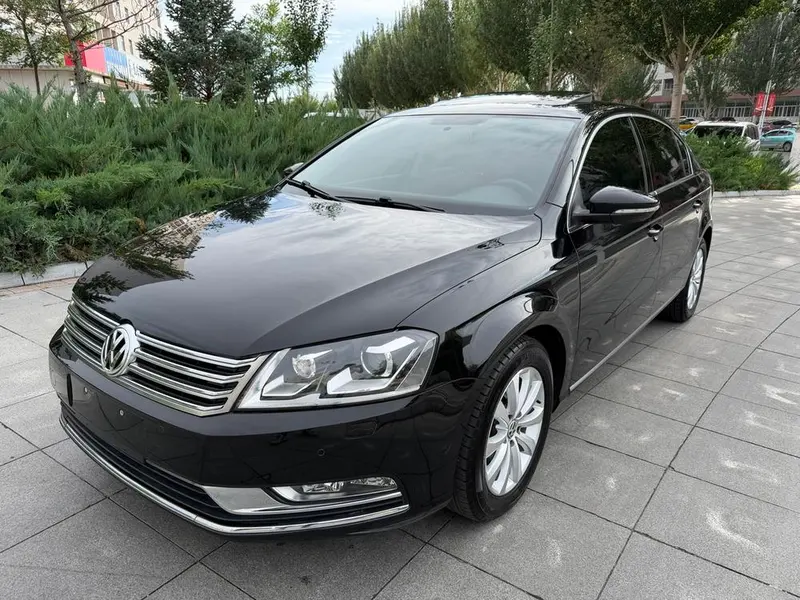 Volkswagen Magotan 2.0TSI Luxury Version, 2013 — фото 1