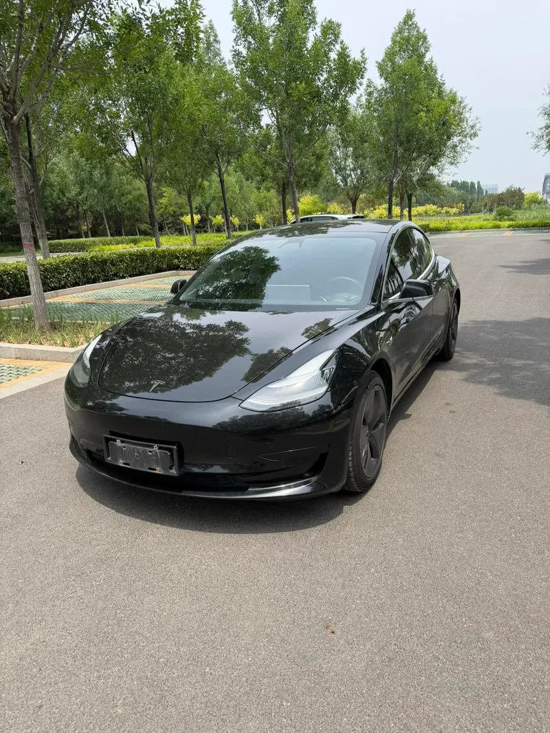 Tesla Model 3 Standard Range RWD Upgraded Edition, 2019 — фото 1