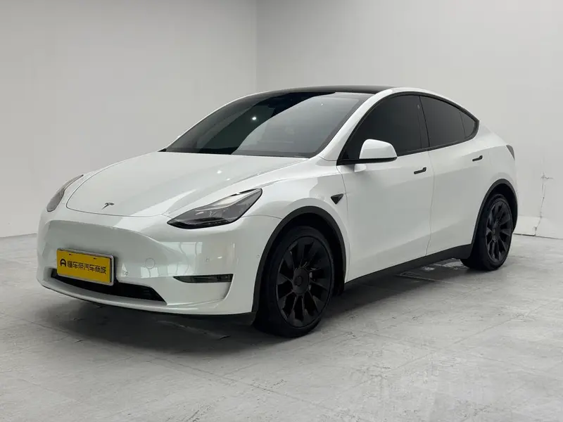 Tesla Model Y Long Range AWD Edition 3D3/3D5, 2021 — фото 1