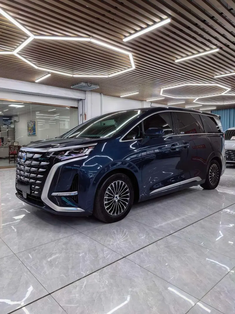Denza D9 DM 970 4WD Flagship Version, 2022 — фото 1