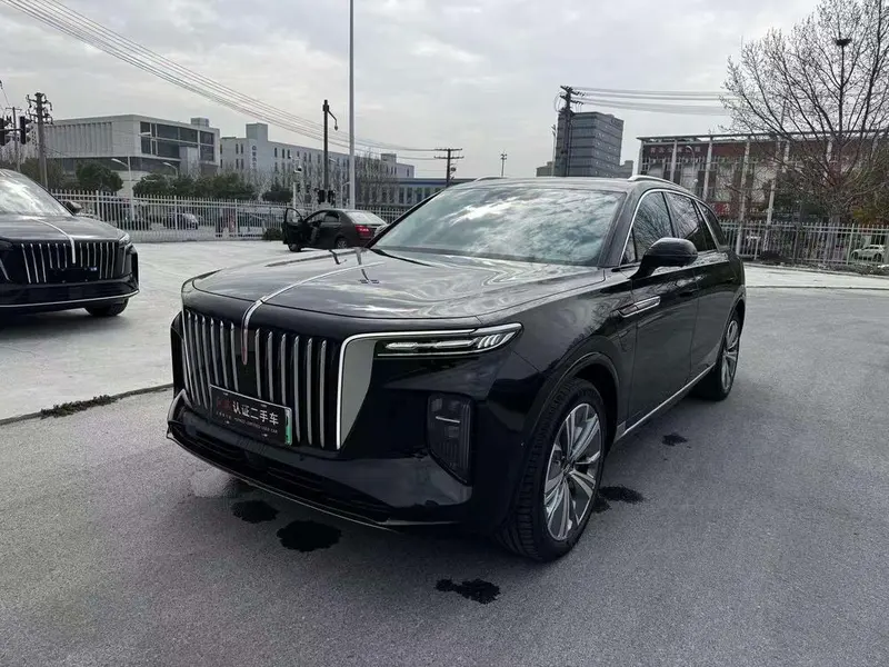 Hongqi E-HS9 690km Edition 6-Seater, 2022 — фото 1