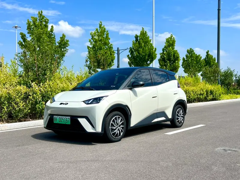 BYD Seagull, 2024