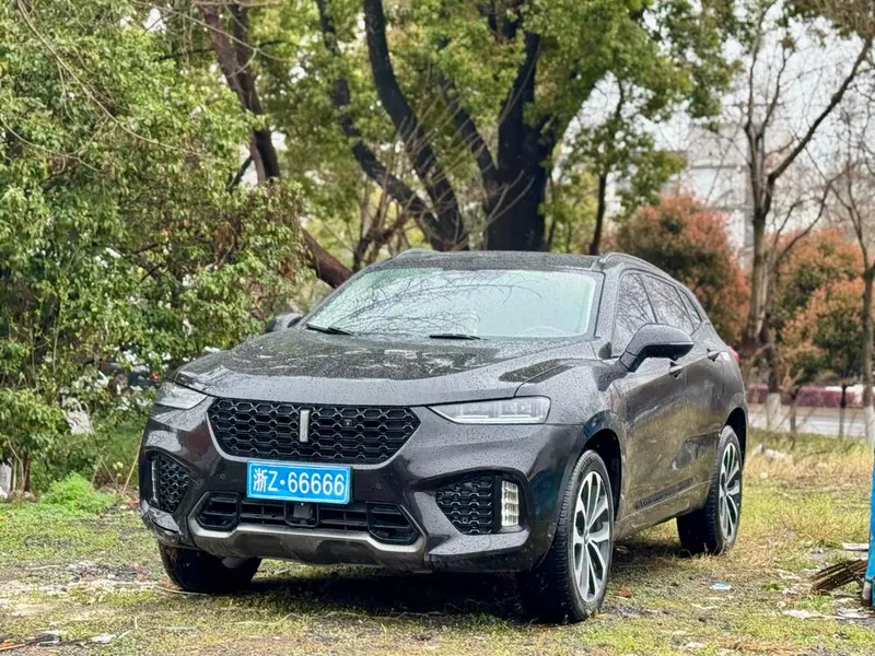 Wey VV7, 2019