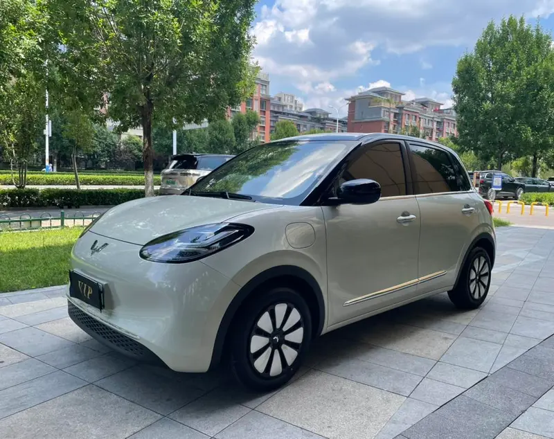 Wuling Bingo, 2024