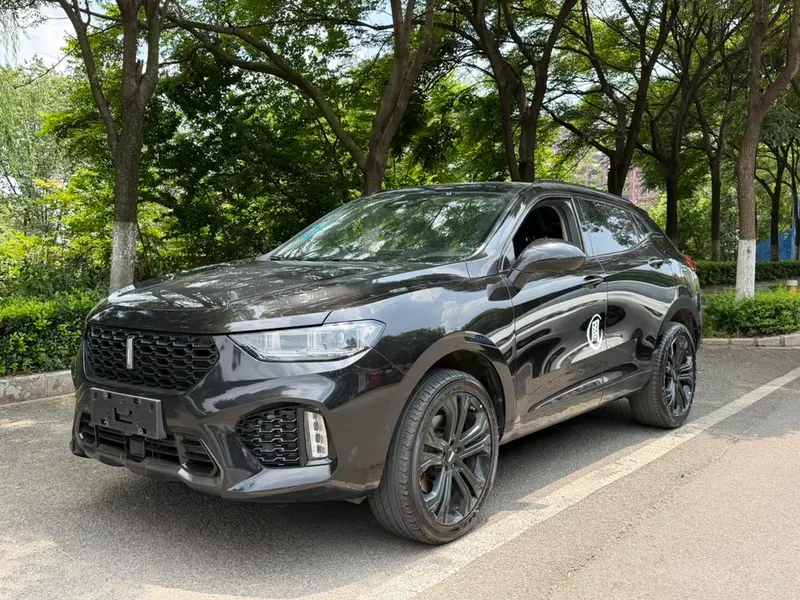 Wey VV5, 2017