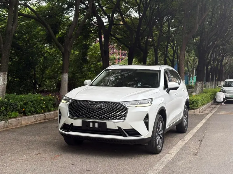 Haval H6, 2021