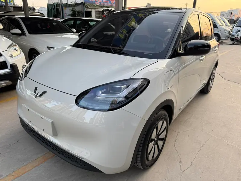 Wuling Bingo, 2024
