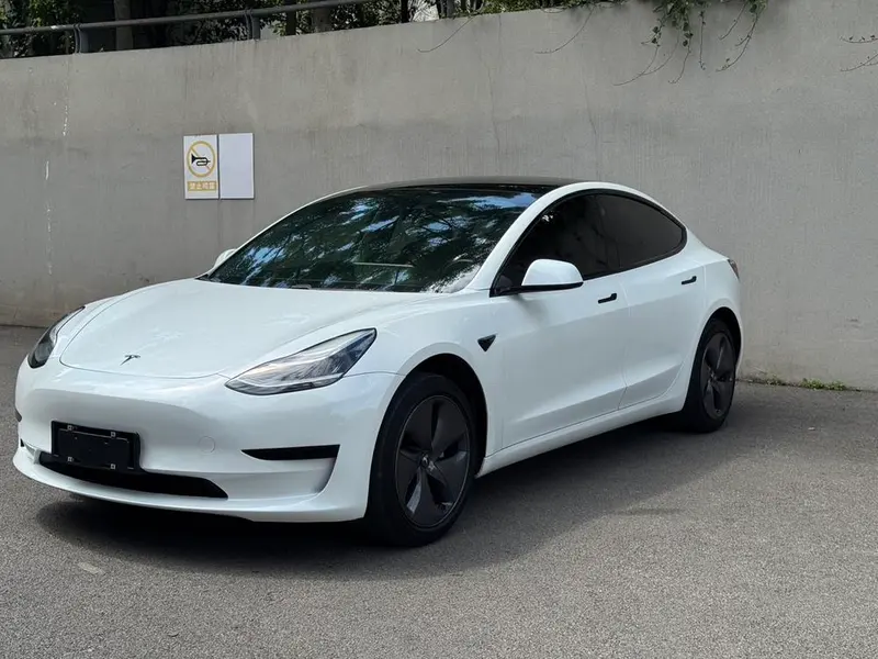 Tesla Model 3 (Import) Standard Range RWD Upgraded Edition, 2019 — фото 1
