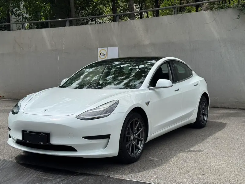 Tesla Model 3 (Import) Standard Range RWD Upgraded Edition, 2019 — фото 1