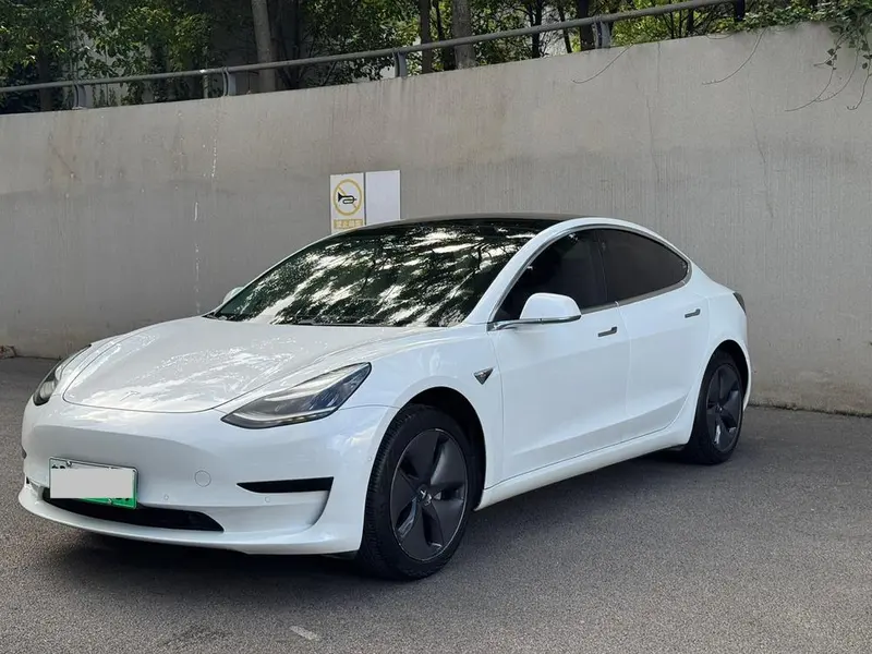 Tesla Model 3 Standard Range RWD Upgraded Edition, 2019 — фото 1