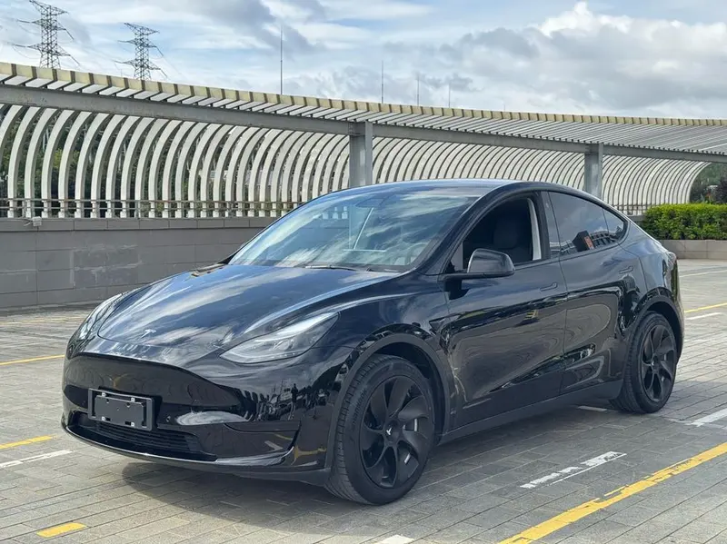 Tesla Model Y Standard Range Edition, 2021 — фото 1