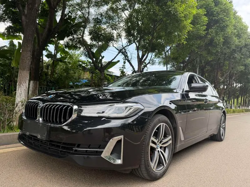 BMW 5-Series, 2021