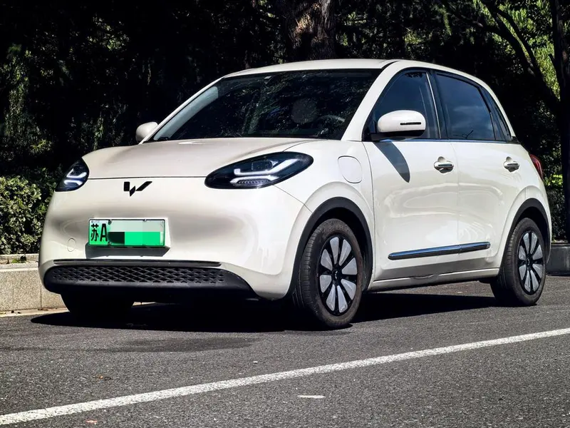 Wuling Bingo, 2023