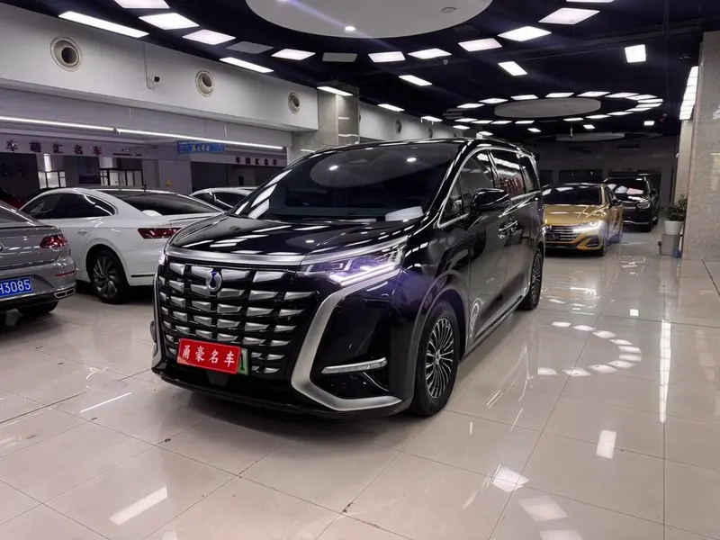 Denza D9 DM 970 4WD Premium Version, 2022 — фото 1