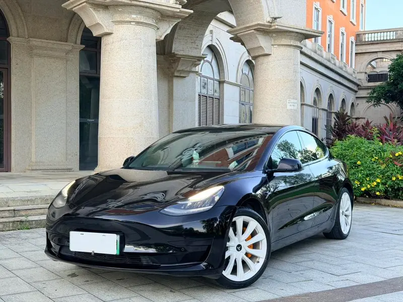 Tesla Model 3 Standard Range RWD Upgraded Edition, 2020 — фото 1