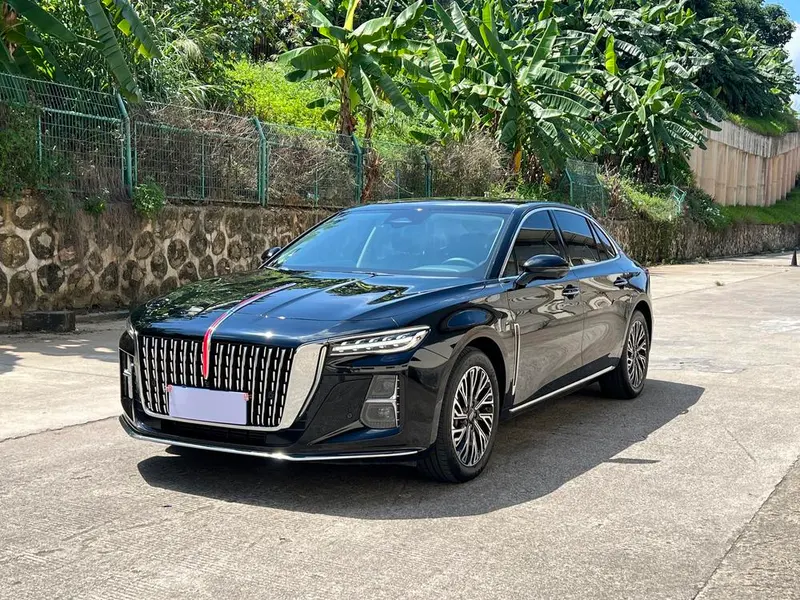 Hongqi H5, 2024