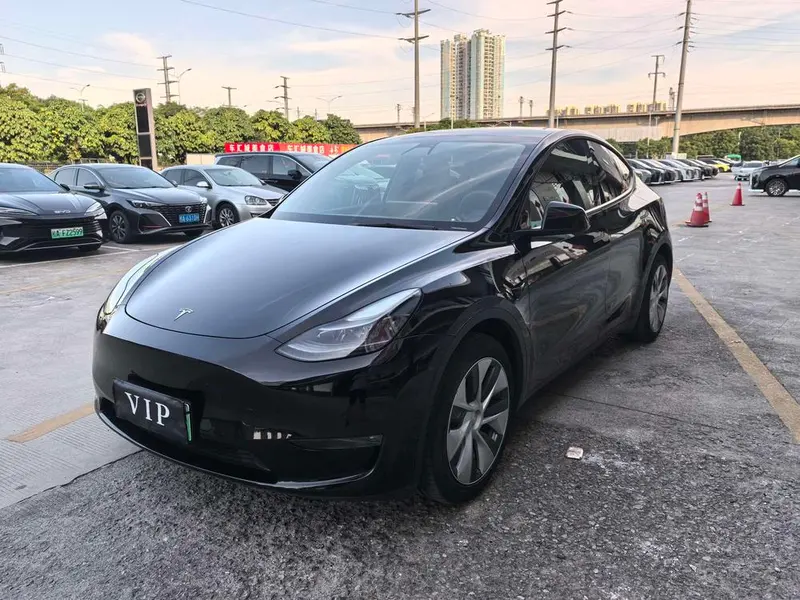 Tesla Model Y Standard Range Edition, 2021 — фото 1