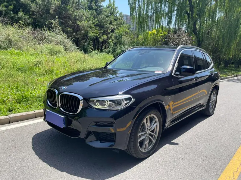 BMW X3 xDrive25i M Sport, 2021 — фото 1