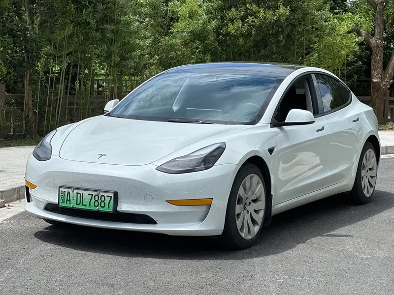 Tesla Model 3 Standard Range RWD Upgraded Edition 3D6, 2021 — фото 1