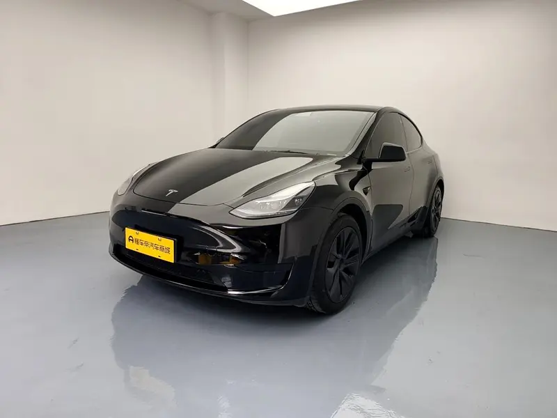 Tesla Model Y Edition, 2022 — фото 1