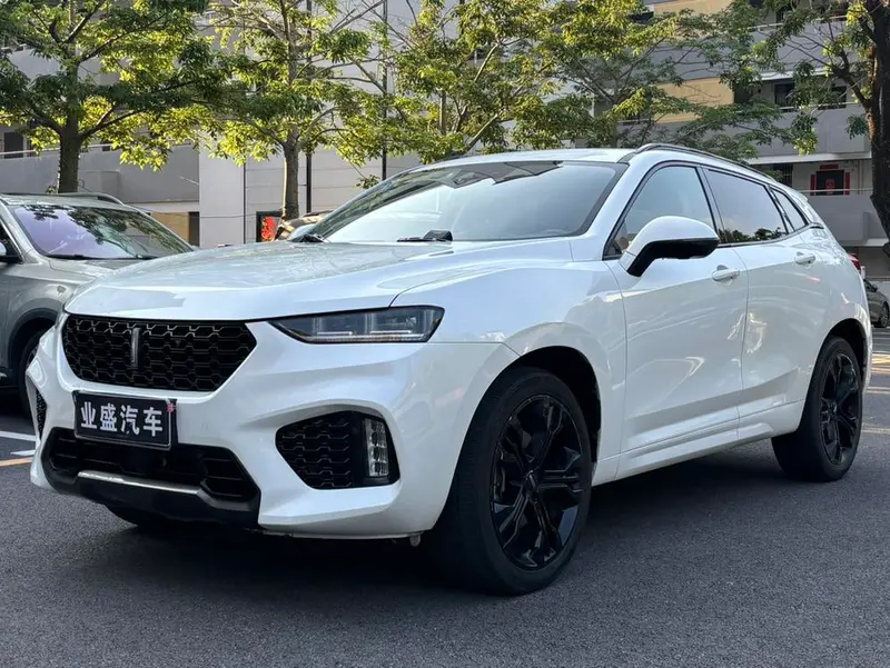 Wey VV7, 2017