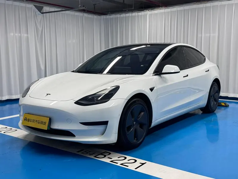 Tesla Model 3 Edition, 2022 — фото 1
