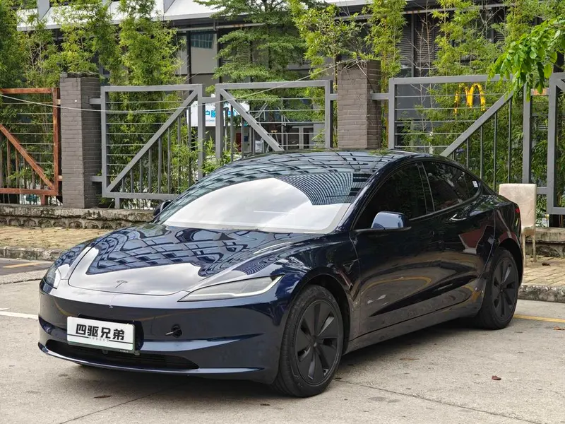 Tesla Model 3 Edition, 2025 — фото 1