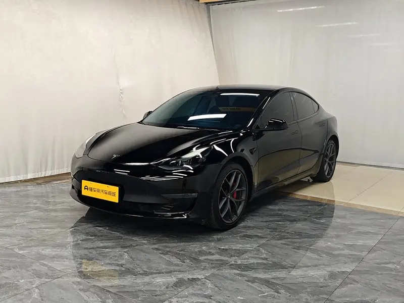 Tesla Model 3 Performance High Performance AWD Edition, 2022 — фото 1