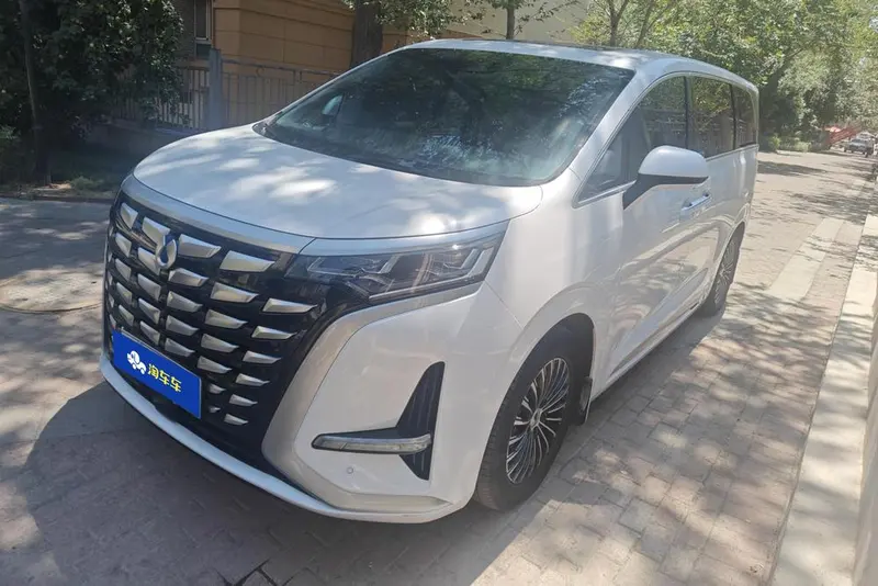 Denza D9 DM 1040 Premium Version, 2022 — фото 1