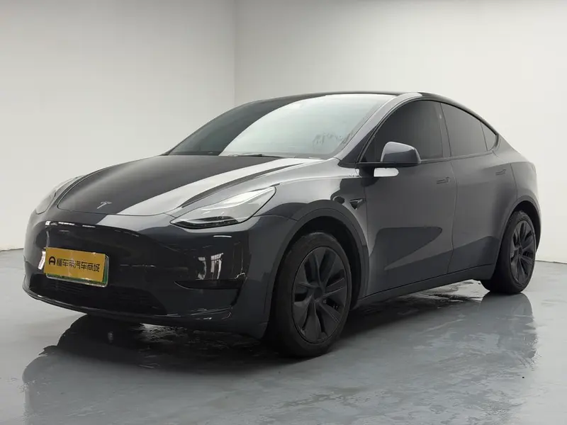 Tesla Model Y Edition, 2024 — фото 1