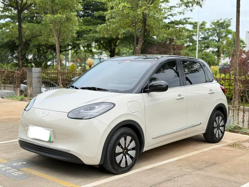 Wuling Bingo, 2024