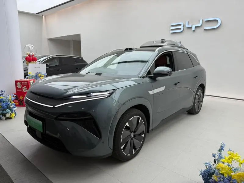 BYD Tang L DM, 2025