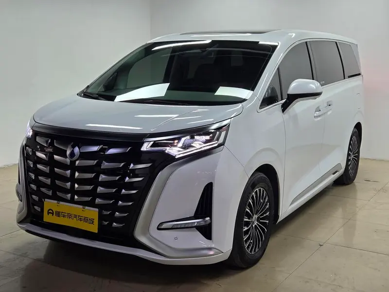 Denza D9 DM 1040 Premium Version, 2022 — фото 1