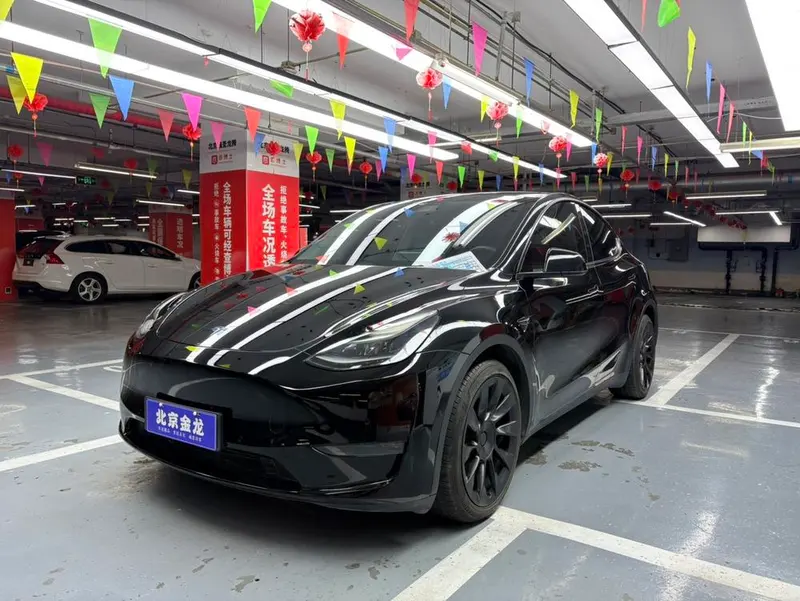 Tesla Model Y Long Range AWD Edition, 2021 — фото 1