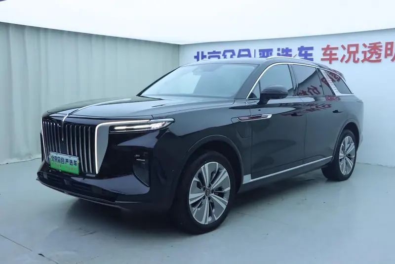Hongqi E-HS9 660km Smooth Edition 6-Seater, 2022 — фото 1