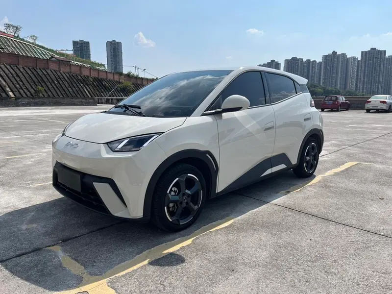BYD Seagull, 2024