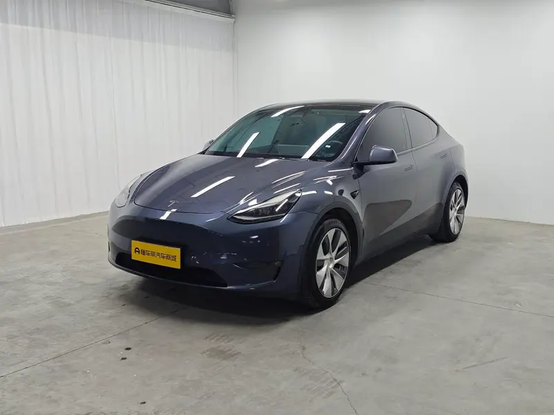 Tesla Model Y Standard Range Edition, 2021 — фото 1