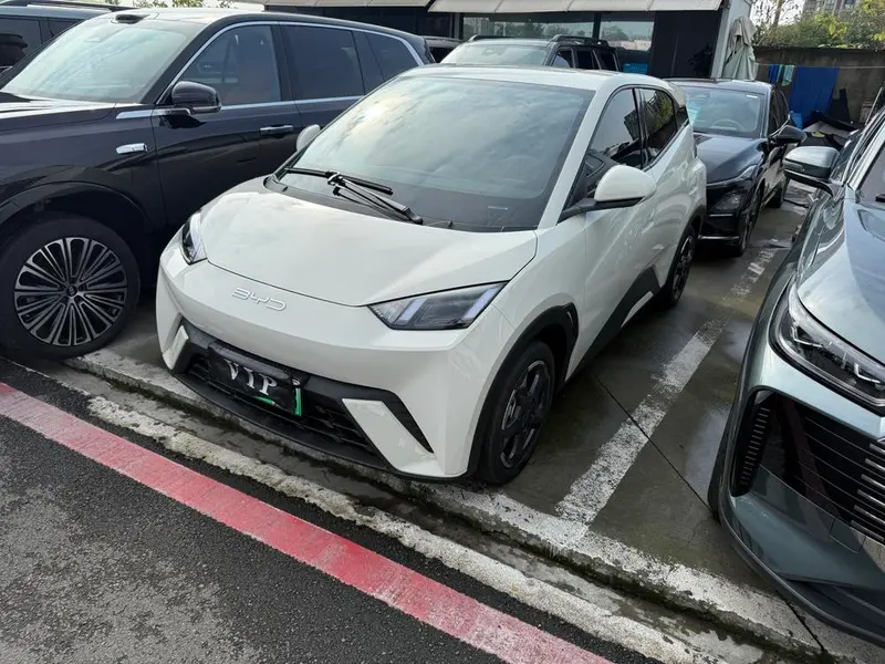 BYD Seagull, 2024