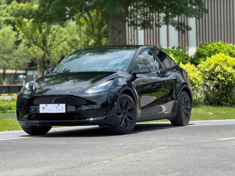 Tesla Model Y Edition, 2023 — фото 1